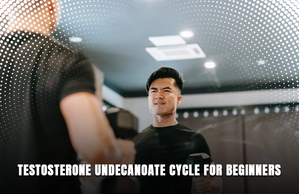 Testosterone Undecanoate beginner cycle
