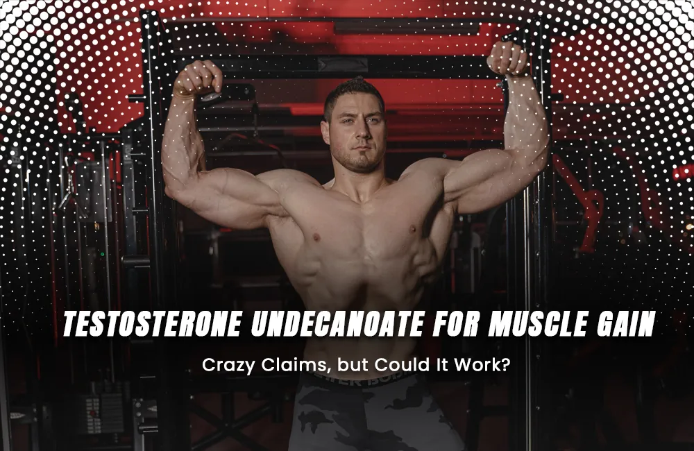 Testosterone Undecanoate for Muscle Gain